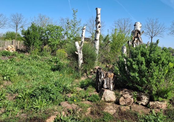 Naturschaugarten in Mannheim