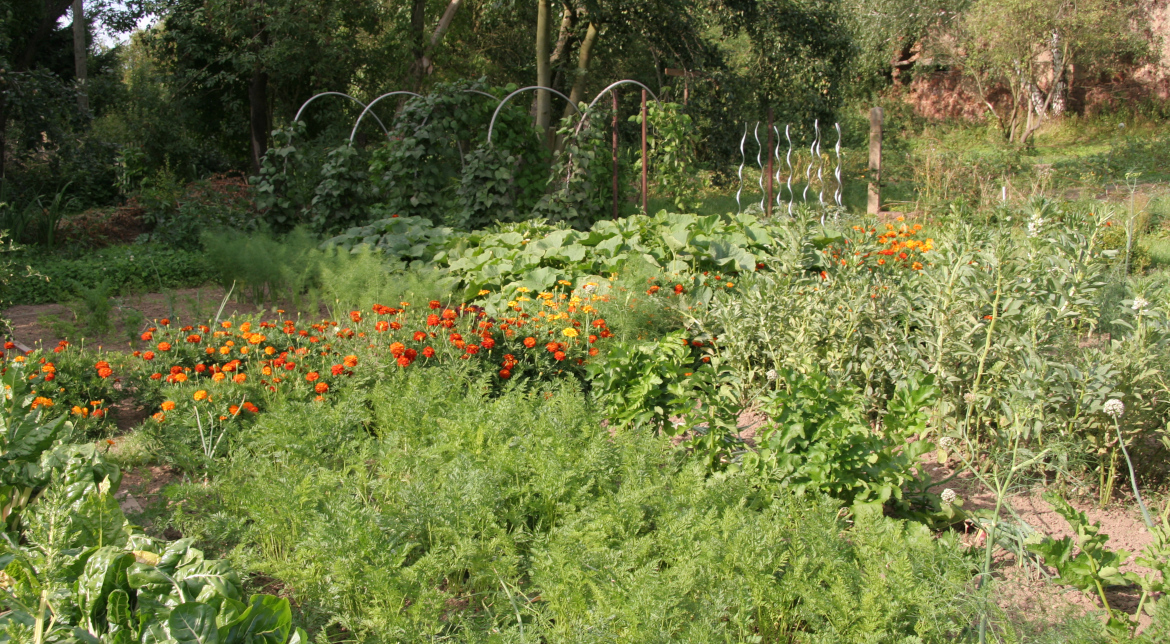 Naturnaher Gemüsegarten mit Blumen und Kräutern