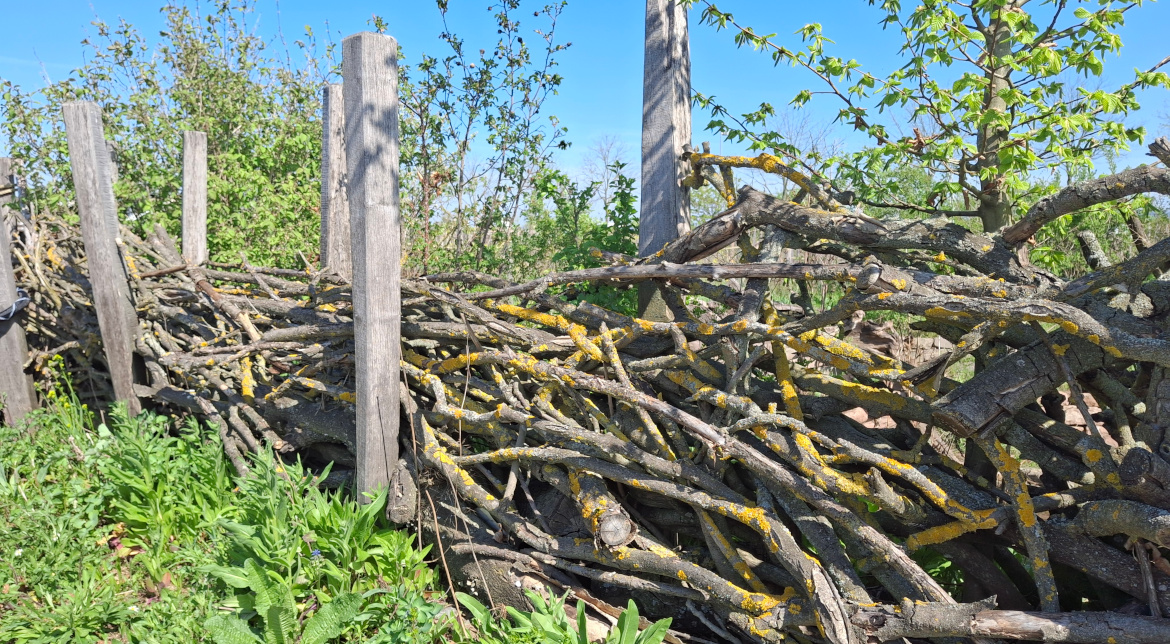Totholz-Haufen, Benjes-Hecke