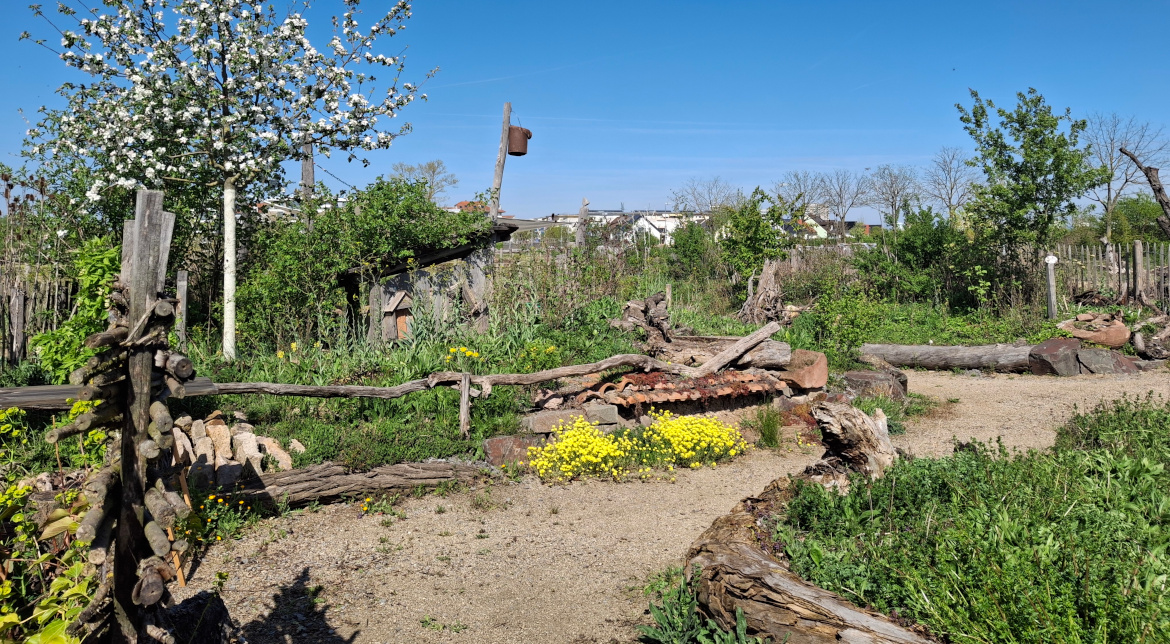 Naturnaher Gartenweg mit wassergebundener Decke im Natur-Entdecker-Garten Mannheim