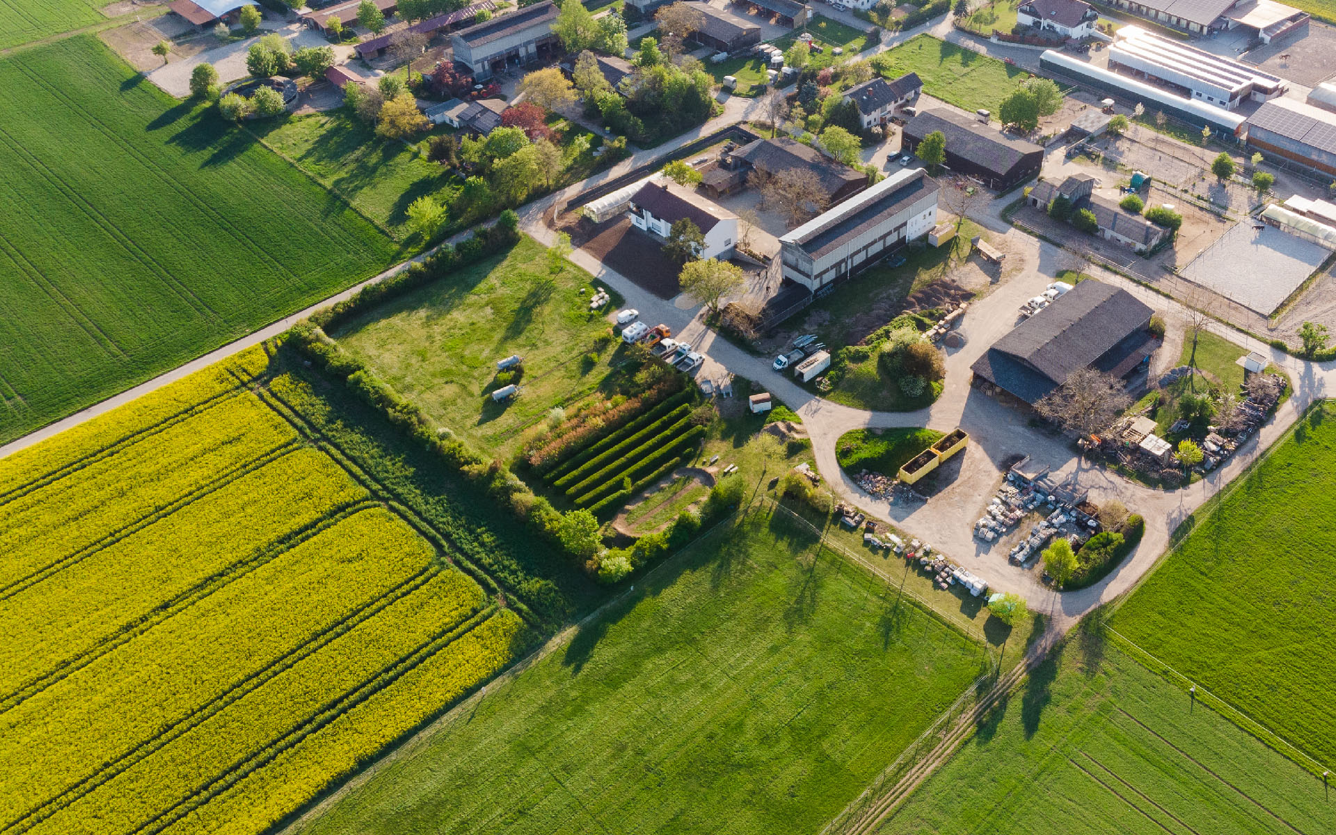 Baumschnitt, Baumpflege, Garten, Gärtner, Galabau, Landschaftsbau, Mannheim, Heidelberg, Pflasterarbeiten, Vorgarten, automatische Beregnungsanlage,  Bewässerungstechnik, Gartenbewässerungssystem, Rollrasen,  Tröpfchenbewässerung. Baumpflanzung