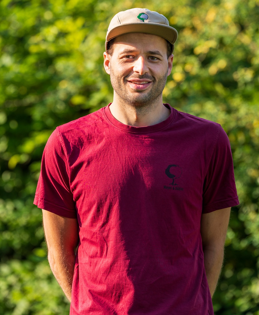 Baumschnitt, Baumpflege, Garten, Gärtner, Galabau, Landschaftsbau, Mannheim, Heidelberg, Pflasterarbeiten, Vorgarten, automatische Beregnungsanlage,  Bewässerungstechnik, Gartenbewässerungssystem, Rollrasen,  Tröpfchenbewässerung. Baumpflanzung