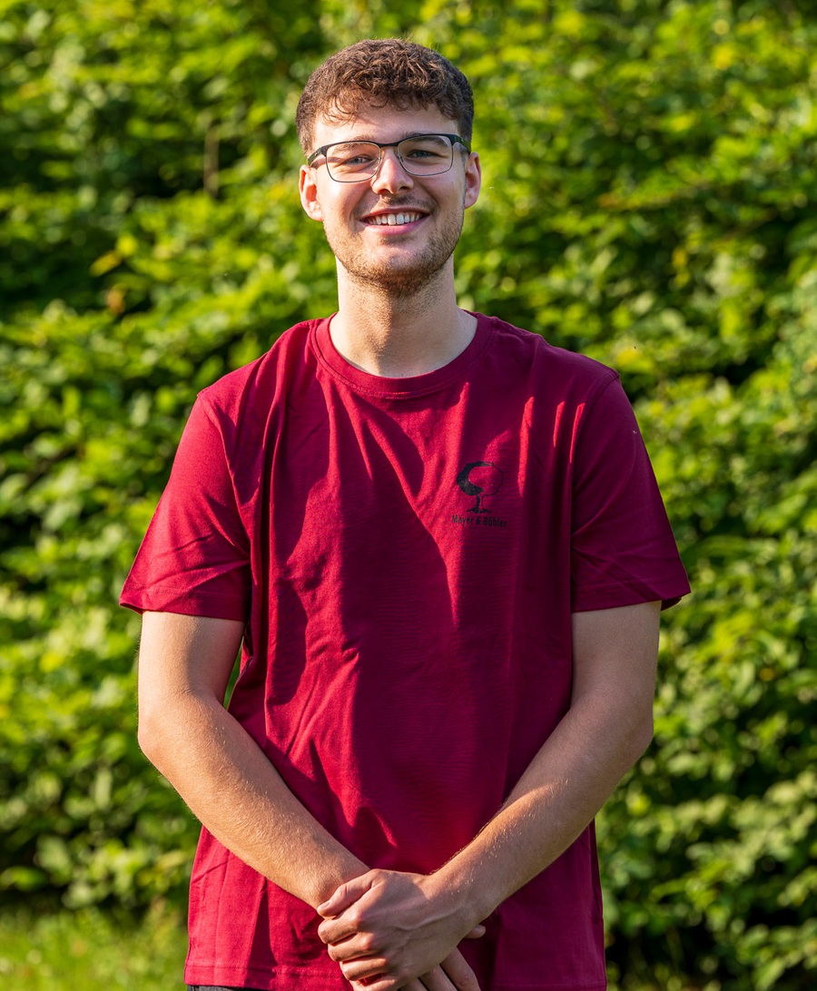 Baumschnitt, Baumpflege, Garten, Gärtner, Galabau, Landschaftsbau, Mannheim, Heidelberg, Pflasterarbeiten, Vorgarten, automatische Beregnungsanlage,  Bewässerungstechnik, Gartenbewässerungssystem, Rollrasen,  Tröpfchenbewässerung. Baumpflanzung